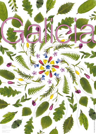 2001-Carteis_Turgalicia-Grupo_Revision-01_01