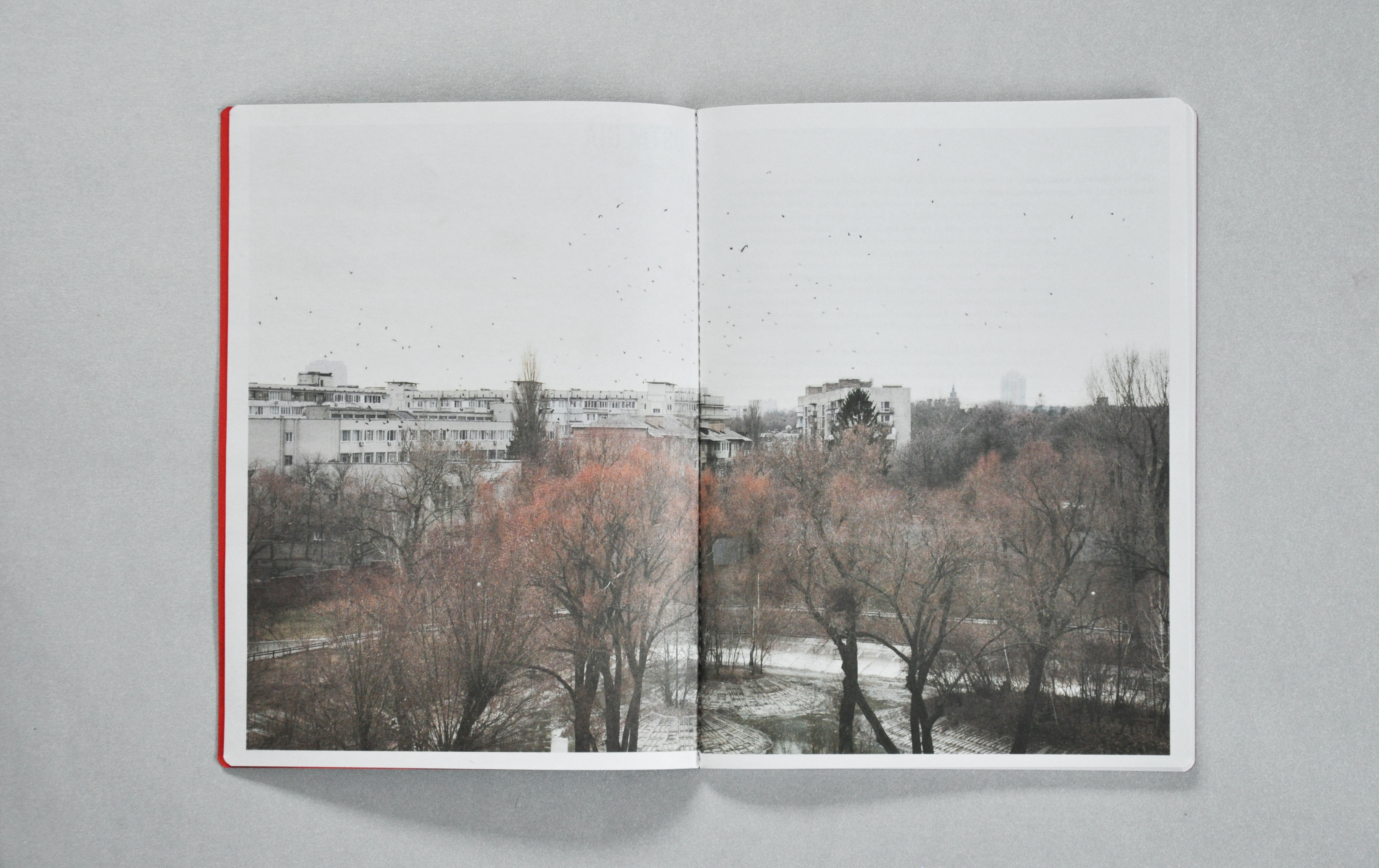 2013-libro-ostalgia-desescribir-02