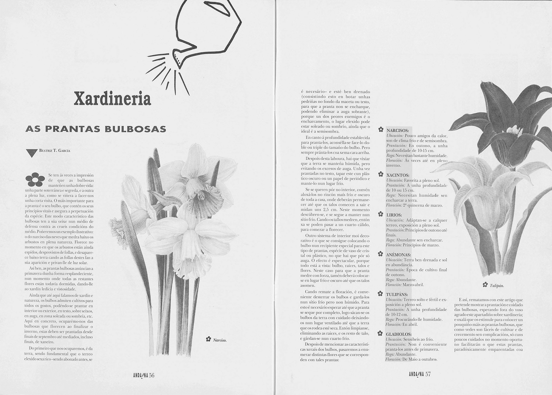 1991-1998-revista-andaina-n1_56-57