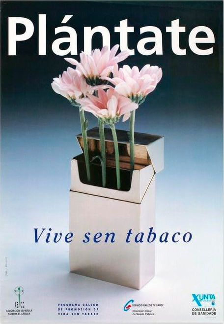 1993-Plantate-Permuy_Asociados-02