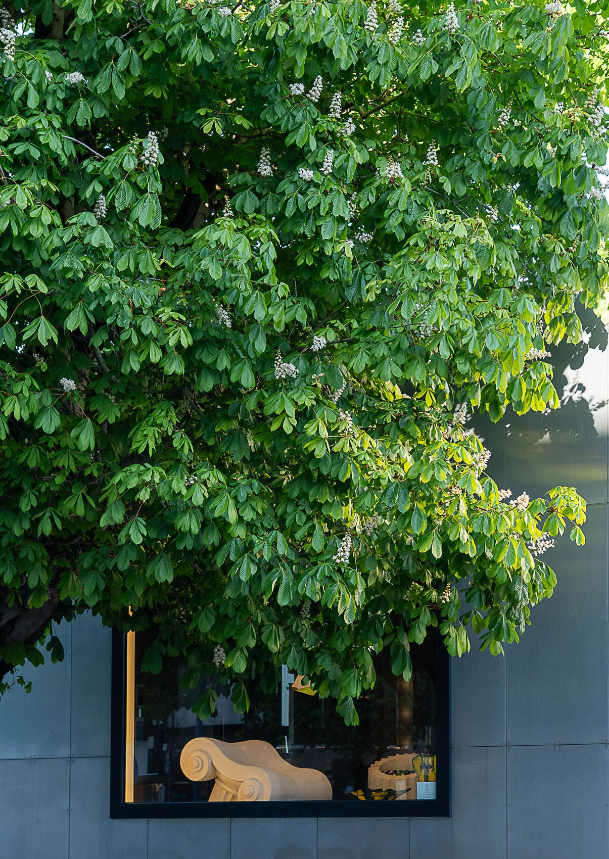 2005-escaparate-sirvent-04