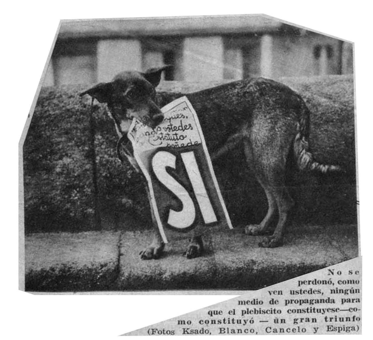 1936-cartel-EstatutoSI-DiazPardo-02