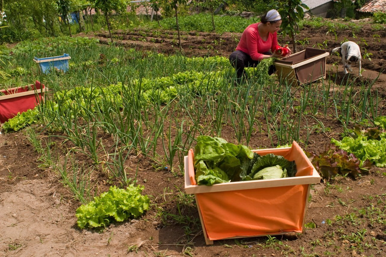 2014-Caixas_Amelia-Cenlitros_07