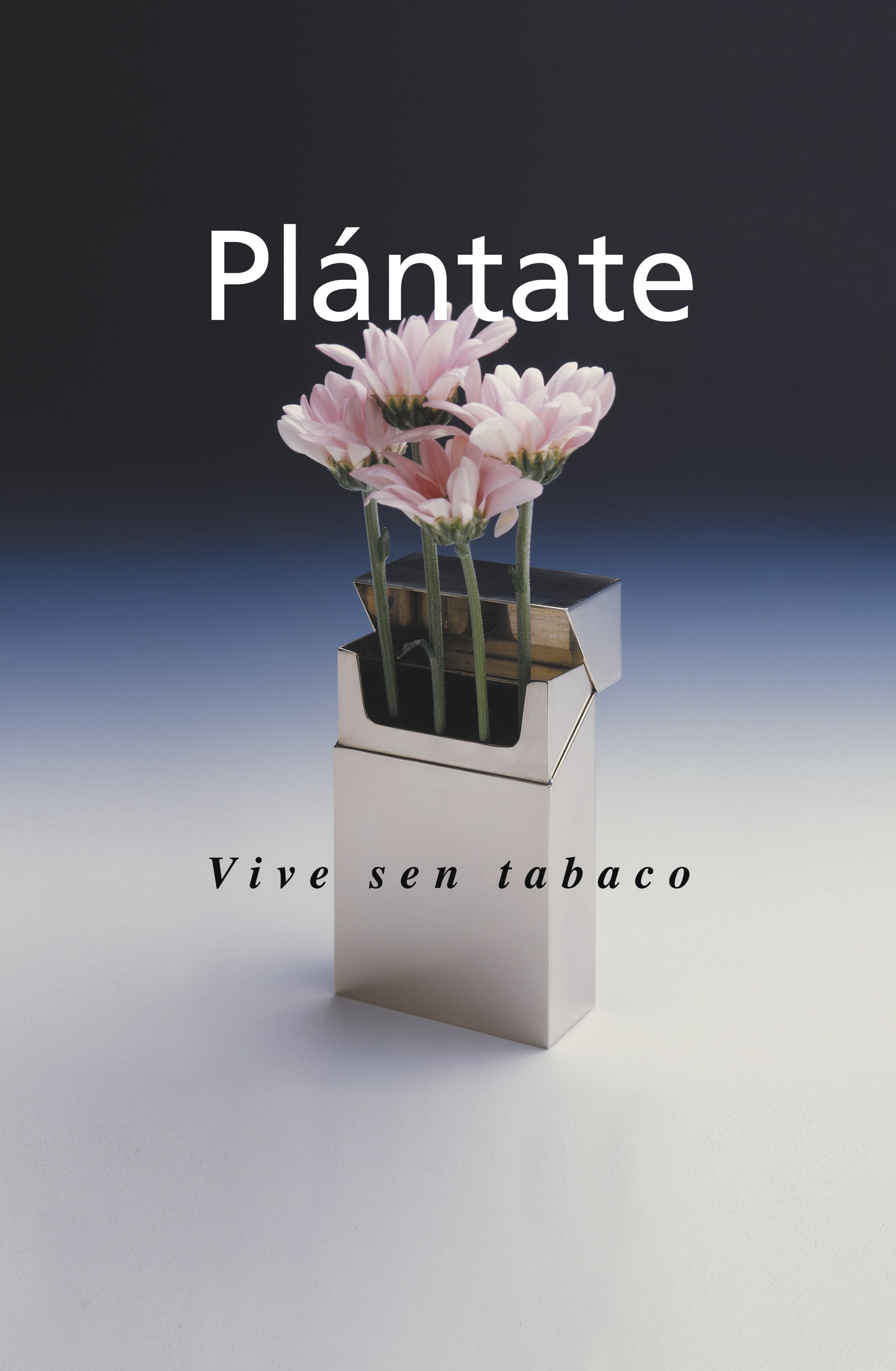 1993-Plantate-Permuy_Asociados-01